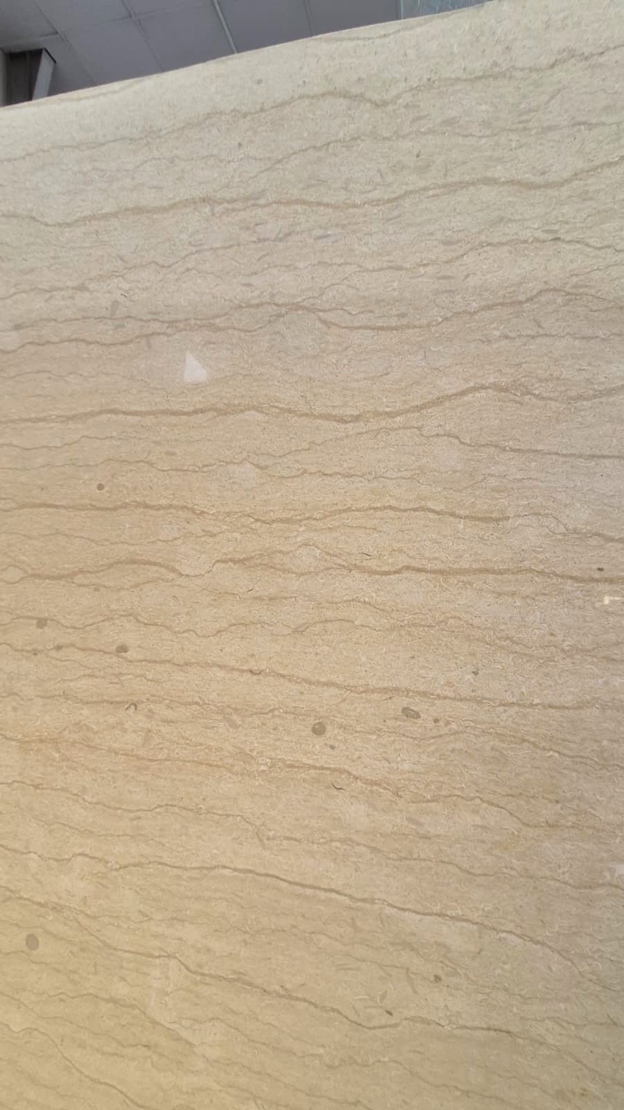 Silvia Marble Slabs & Tiles
